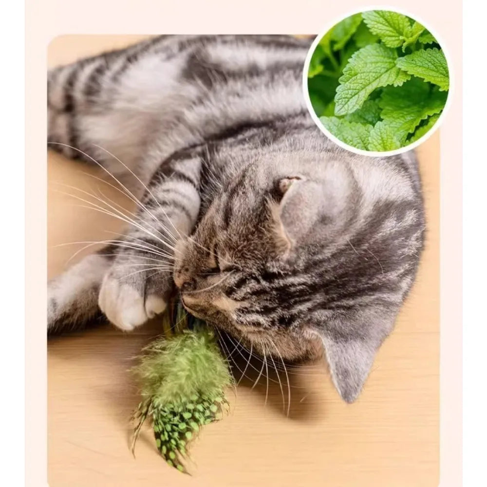 ألعاب القطط، الطيور الطائرة، ألعاب القطط، العصافير، مخالب القطط، الألعاب، التغريد النابض بالحياة، الطيور المحاكاة، ألعاب القطط التفاعلية