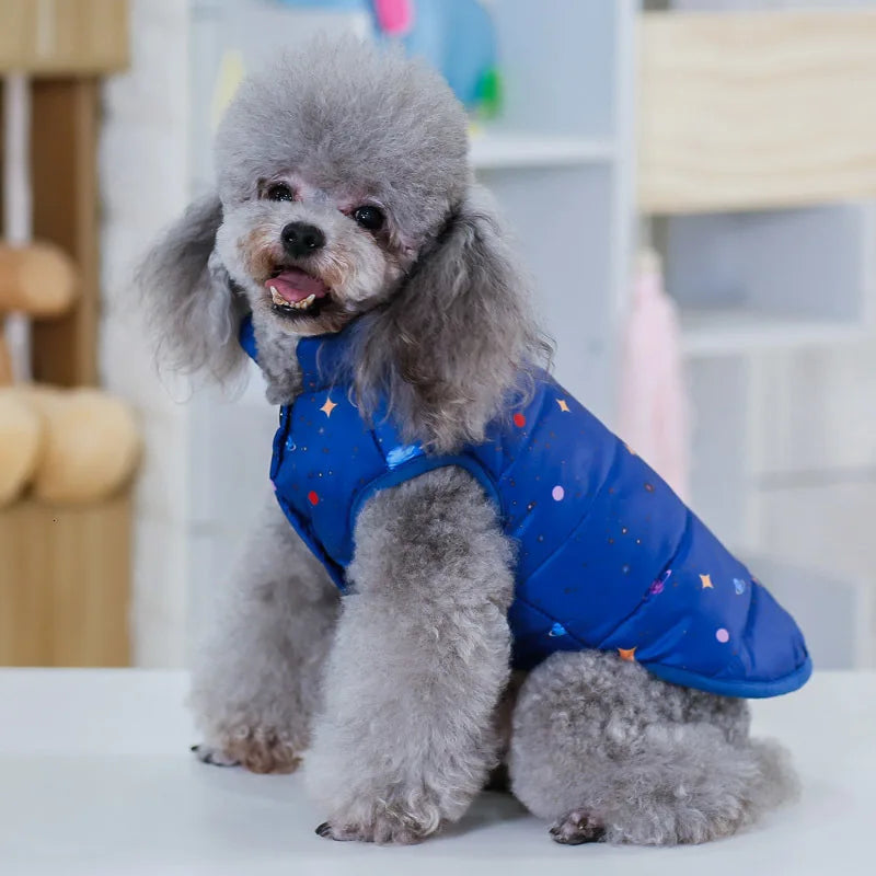 Pet Dog Fashion Winter Coat Small Dog Warm Jacket Stylish Comfortable Insulation Clothing Chihuahua Teddy Poodle Pet Clothing