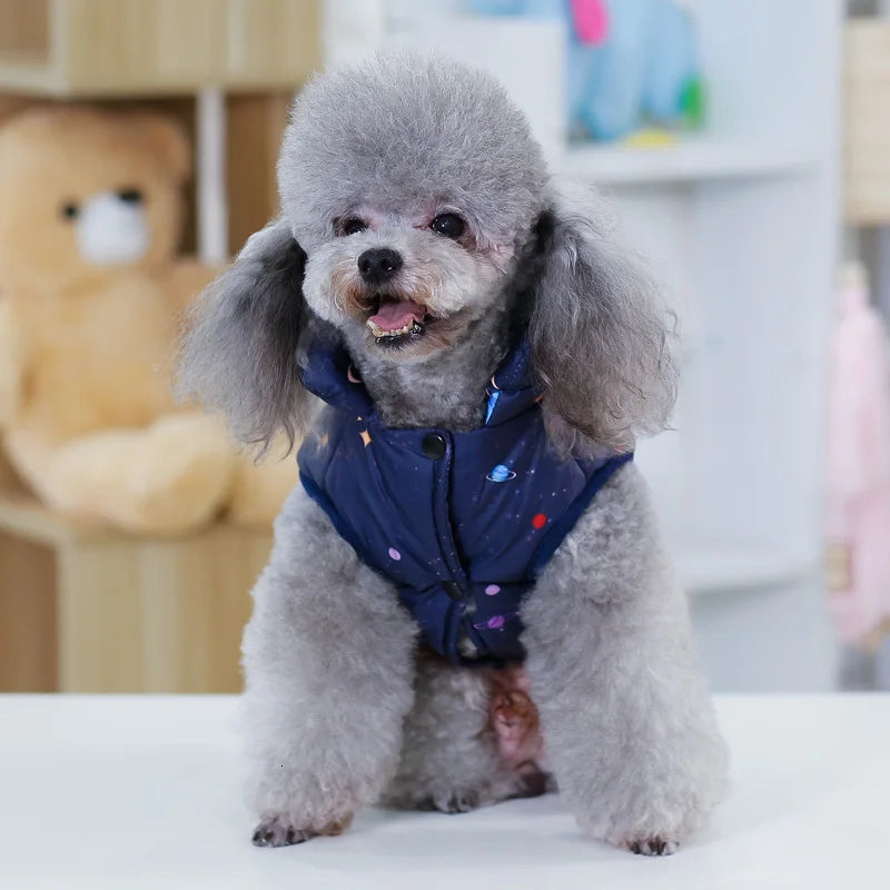 Pet Dog Fashion Winter Coat Small Dog Warm Jacket Stylish Comfortable Insulation Clothing Chihuahua Teddy Poodle Pet Clothing