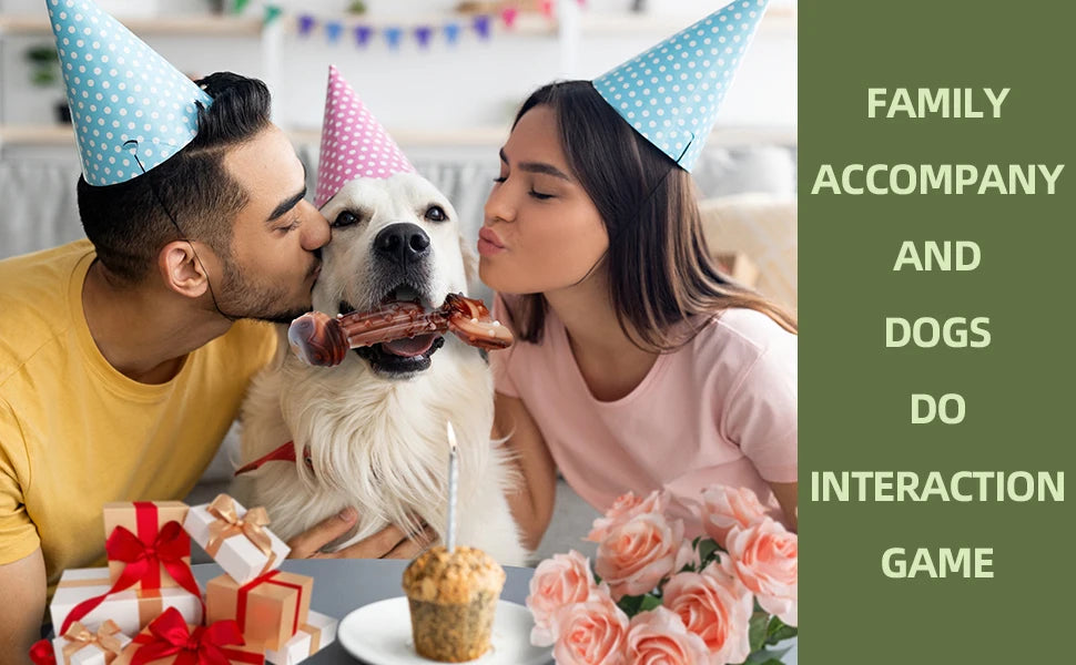 Durable Dog Chew Toy, Cactus-Shaped Tough Bite-Resistant Cartoon Pattern,With Food Hiding Features–Suitable for All Breed Sizes