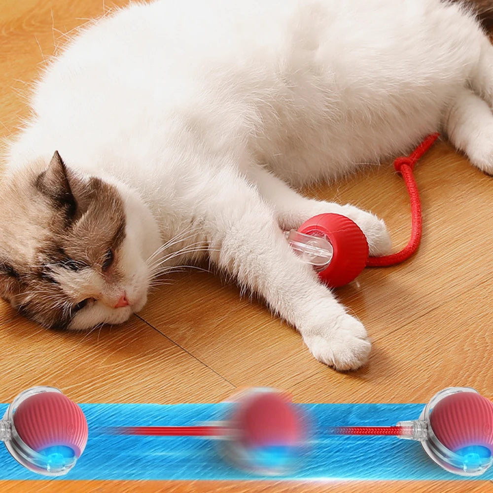 Smart Automatic Cat Ball Interactive 3 Modes Adjustable Rechargeable Electric Rolling Pet Toy Ball Pet Supplies Gift for Cat Dog