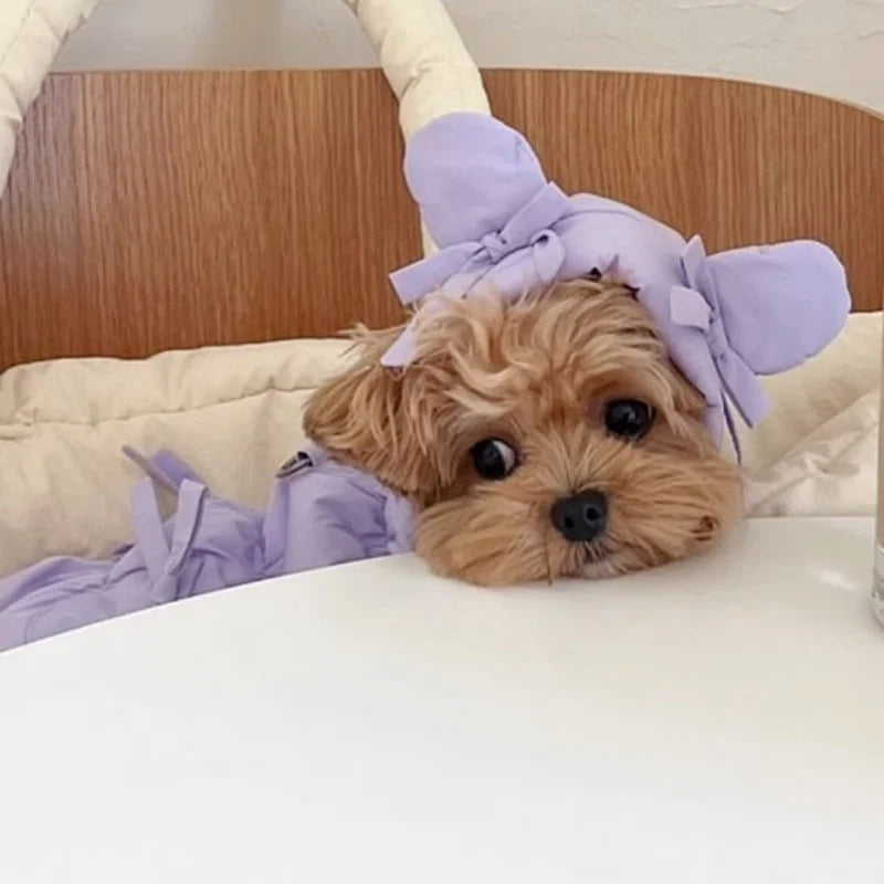 Winter Padded Dog Jacket Coat Warm Soft Dog Clothes Fashion Solid Puppy Down Jacket Cute Bow Cat Vest Coat Chihuahua Pet Costume