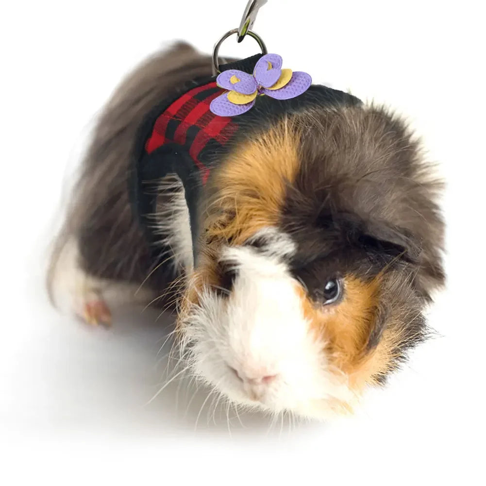 Small Pet Two-legged Chest Strap Outdoor Traction Rope Leash Clothes For Chinchilla Dutch Guinea Pig Breathable Denim Corset