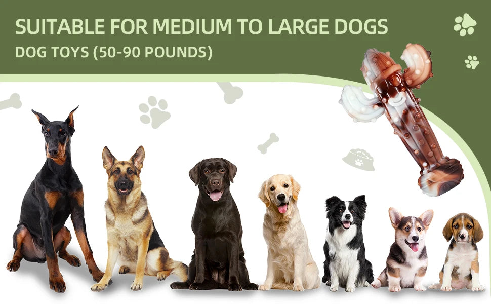 Durable Dog Chew Toy, Cactus-Shaped Tough Bite-Resistant Cartoon Pattern,With Food Hiding Features–Suitable for All Breed Sizes