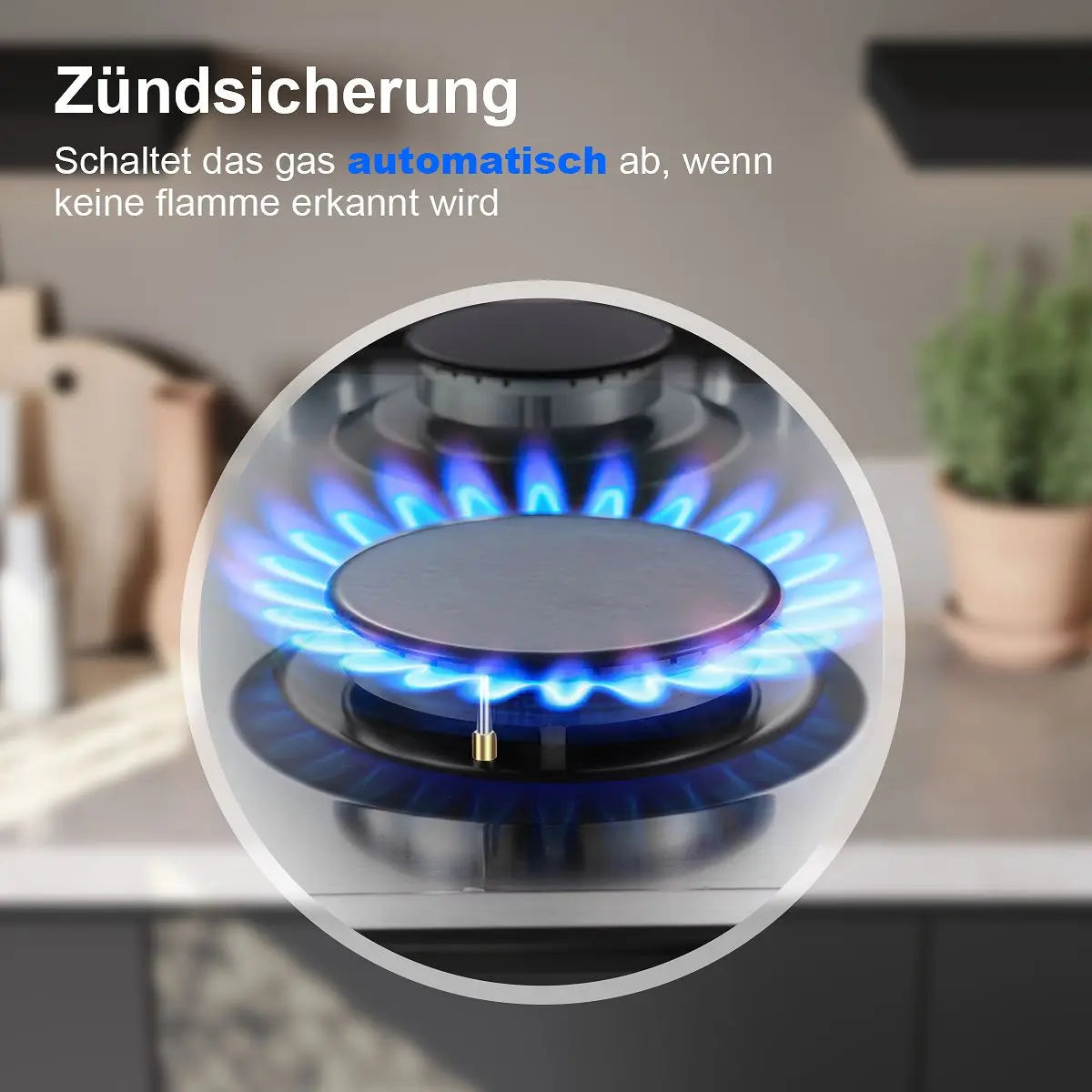 Stainless Steel Gas Hob Automatic Flame Protection 2 Bulbs | Dual Fuel Natural Gas/Propane Built-in/Freestanding 2400W 220-240V