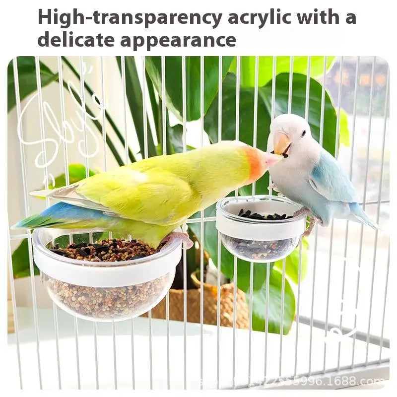 وعاء تغذية الطيور وعاء شفاف قابل للفصل وكوب طعام بلاستيكي للقفص ومغذي بذور معلق مريح للببغاوات