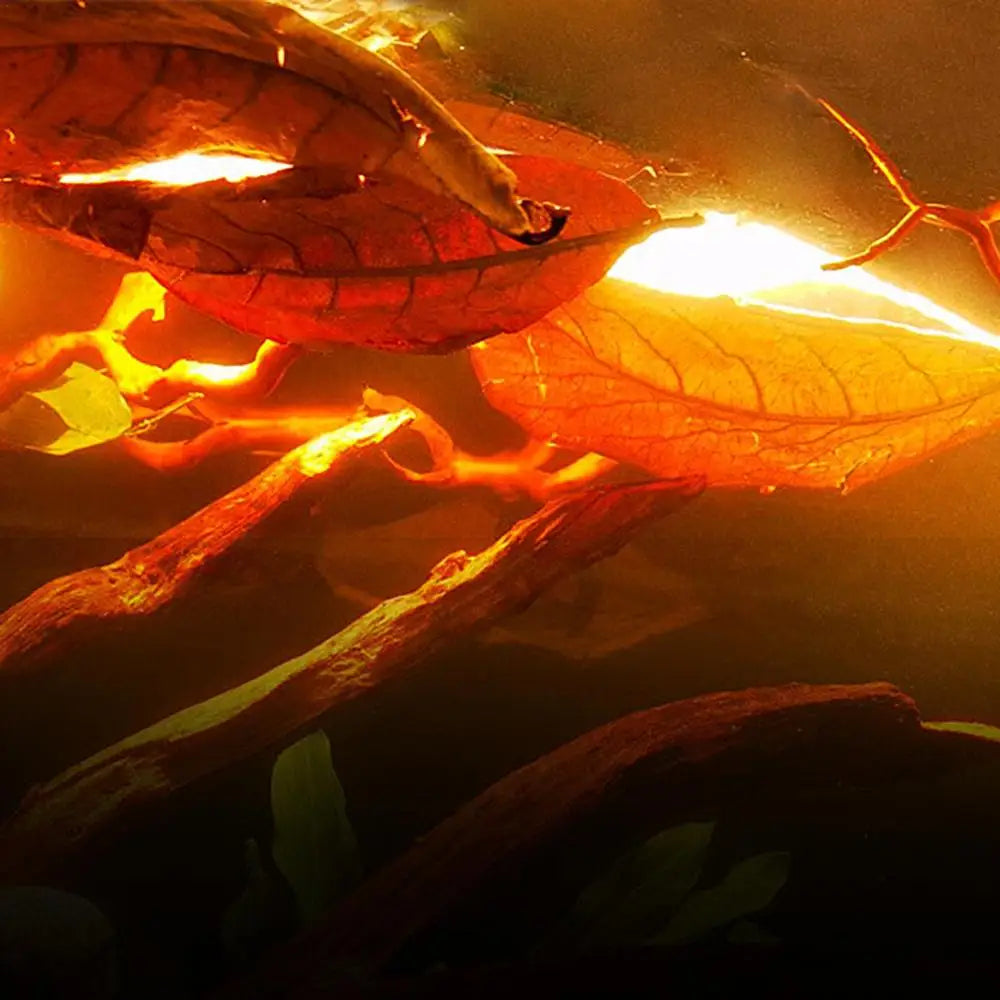 3-30g Natural Terminalia Catappa Foetida Leaf With Bag PH Balance Water Conditioner Fish Tank Filter Aquarium Clean Tool