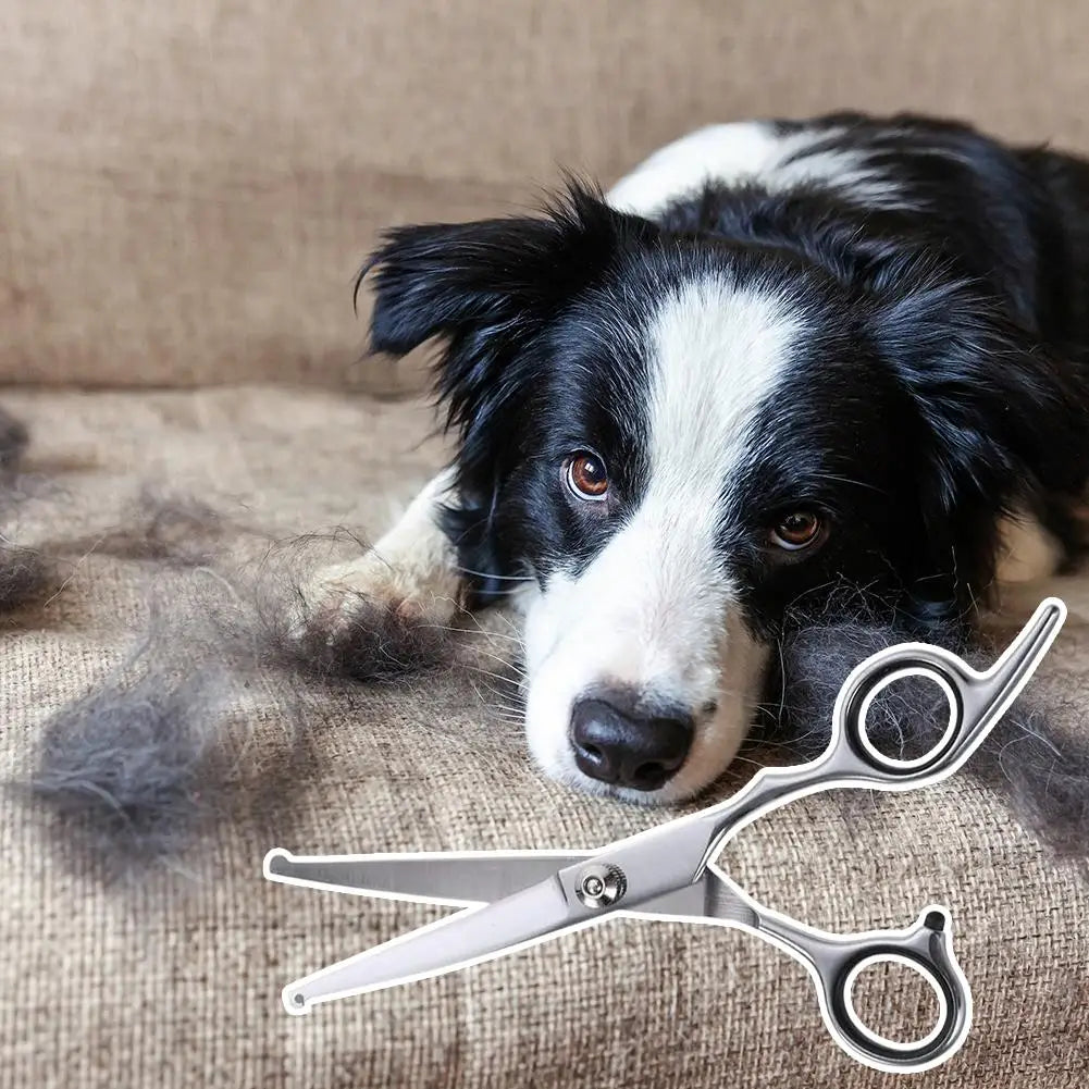 1PC Up Curved Pet Grooming Scissors Right And Left Hand Dog Grooming Hair Shears Professional Hairdressing Scissors