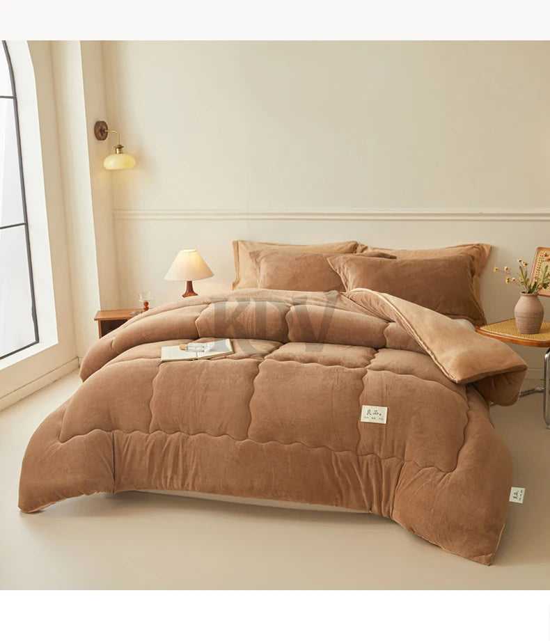 Thickened Milk Velvet Winter Warm Blanket for Bed Queen Size Soft Flannel Quilt Double-Sided Plush Single Double Thick Comforter