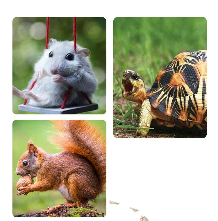 500 جرام من كوز الذرة الطبيعي الصالح للأكل، فراش الهامستر، لوازم المرحاض، مزيل العرق، نشارة الخشب، القنفذ، شينشيلا، حشو القفص الدافئ في الشتاء