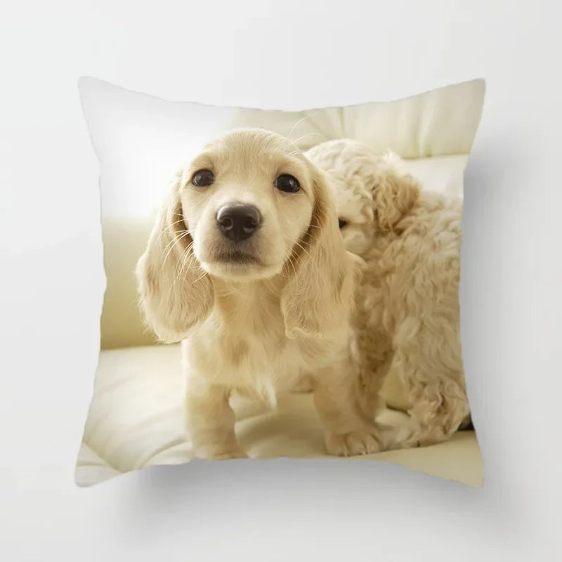 Golden Retriever Pet Dog Pattern Printed Pillow Cover Fashionable Luxury Home Decoration Office Seat Cushion Cover