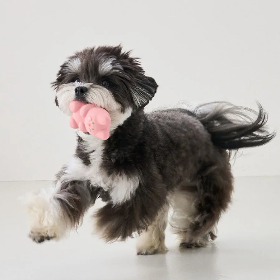 Squeaky Latex Dog Toys - Fun Beeping Pet Toys Set for Puppies & Dogs, Interactive Playtime Companions