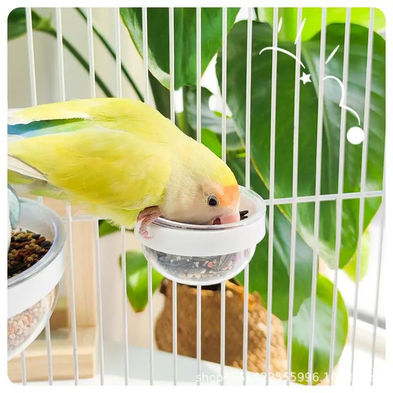 وعاء تغذية الطيور وعاء شفاف قابل للفصل وكوب طعام بلاستيكي للقفص ومغذي بذور معلق مريح للببغاوات