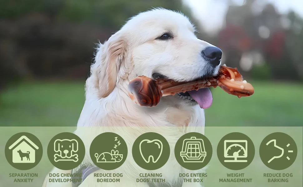 Durable Dog Chew Toy, Cactus-Shaped Tough Bite-Resistant Cartoon Pattern,With Food Hiding Features–Suitable for All Breed Sizes