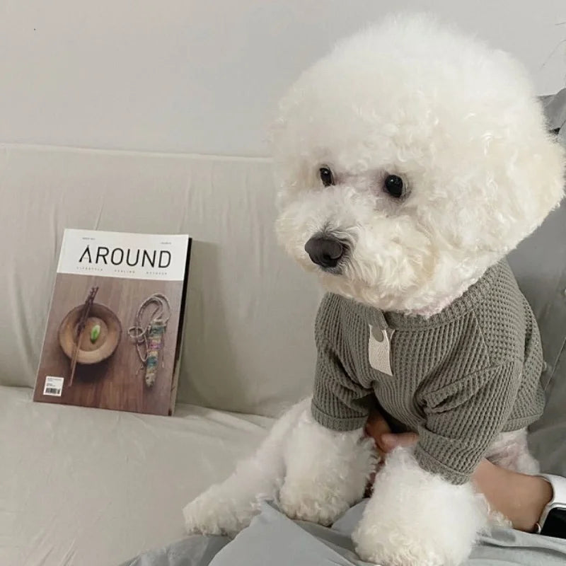 قميص كلاب خريفي وشتوي، ملابس كلاب ناعمة، قميص جرو لطيف سادة، صدرية قطط أنيقة، قمصان داخلية للحيوانات الأليفة، أزياء بيشون فريز