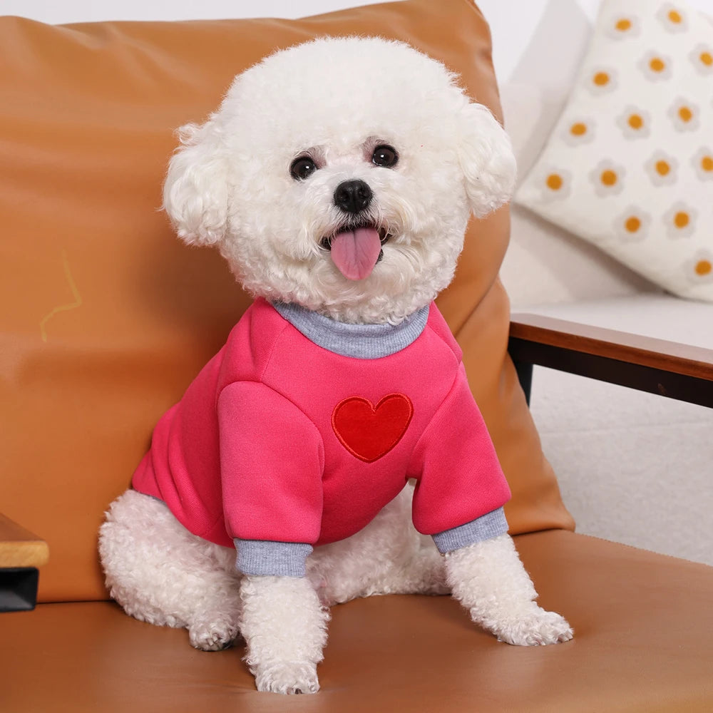 Medium Cat Sweater for Taddy Yorkshire Winter Warm Small Dog Hoodie Love Medium Thickened Cute Puppy Bipedal Clothes Accessories
