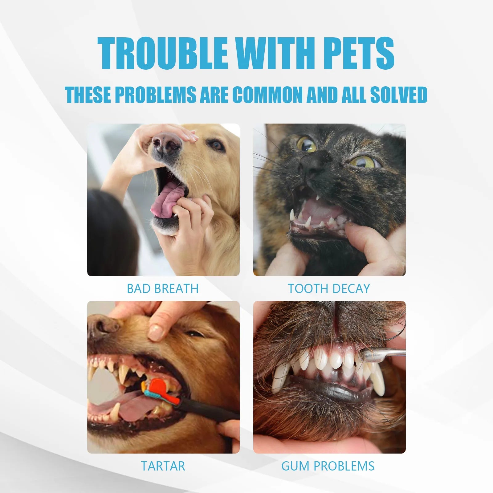 Yegbong Pet Toothpaste Cats Dogs Deep Cleaning Teeth Removing Stain Repair Teeth Oral Breath Freshener Dental Care Products 60g