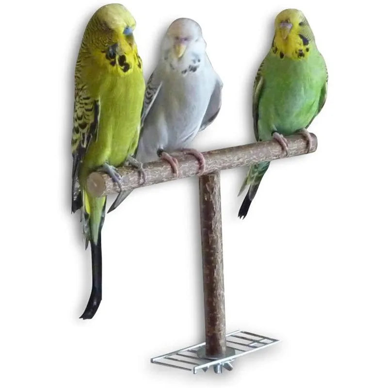 Bird Swing Toy Wooden Parrot Perch Stand Playstand with Chewing Beads Cage Sleep Stand Play Toys for Budgie Birds