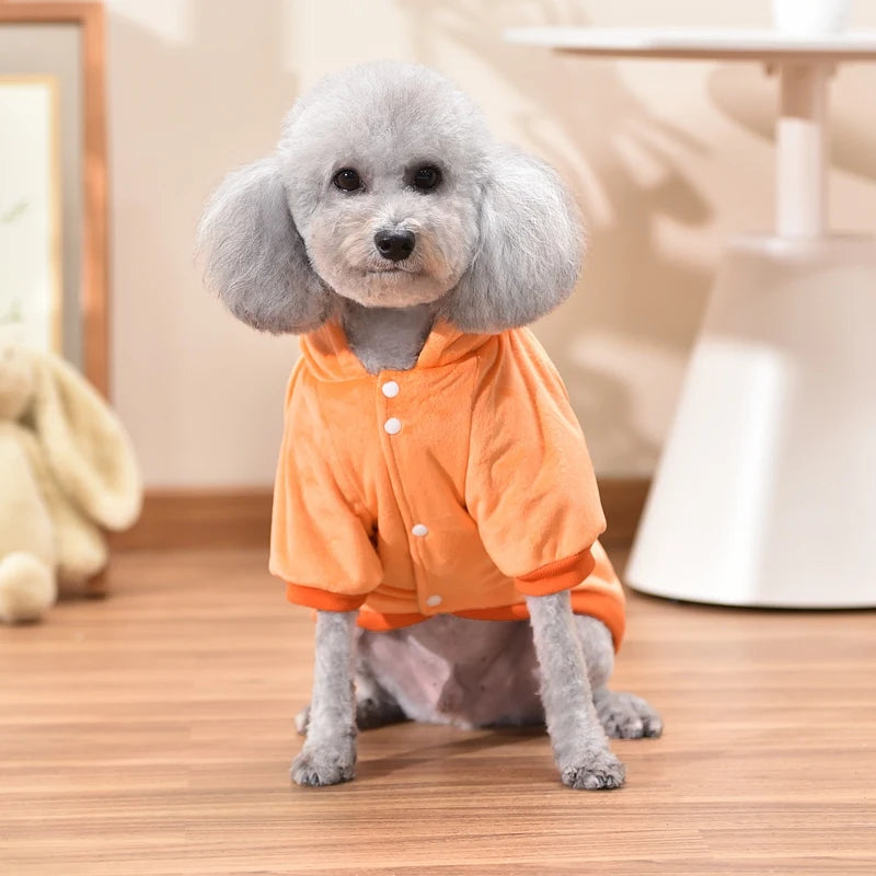 Orange Pet Apparel For Small Medium Large Dogs Funny Autumn Winter Cat Corgi French Bulldog Yorkie Hoodie Clothes XS 6XL Stuff