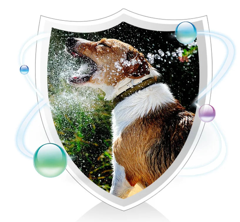 Pet health care products 180 dog different food trace element tablets probiotics beautiful hair body healthy calcium tablets