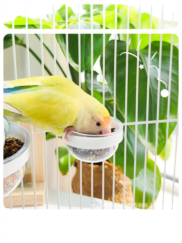 وعاء تغذية الطيور وعاء شفاف قابل للفصل وكوب طعام بلاستيكي للقفص ومغذي بذور معلق مريح للببغاوات