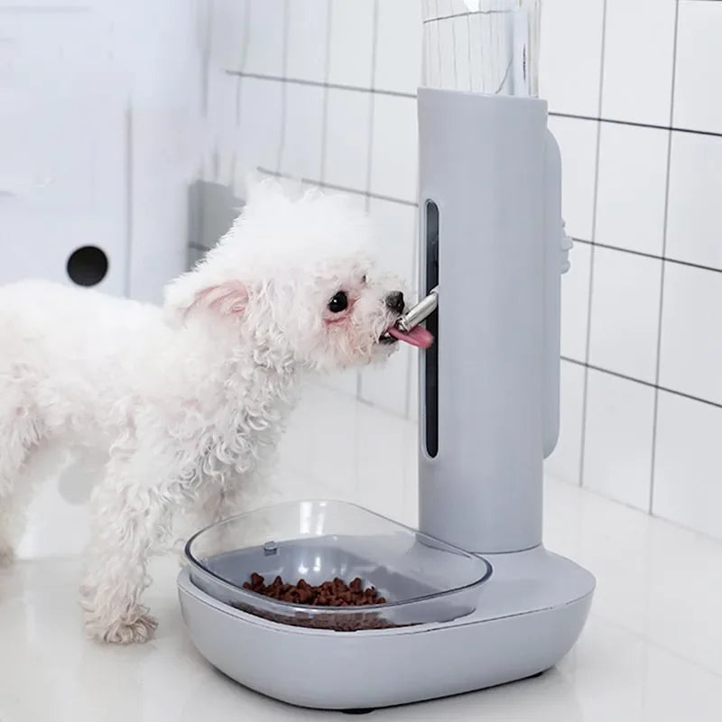 وعاء شرب أوتوماتيكي للحيوانات الأليفة، وعاء طعام للكلاب، زجاجات مياه، وحدة تغذية عالمية للقطط والجراء، موزع قابل للرفع، حامل طعام للحيوانات الصغيرة