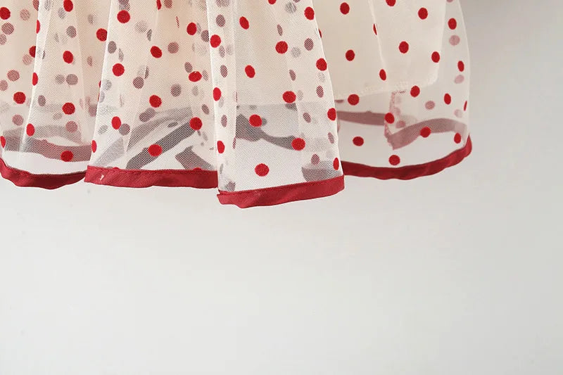 Robe Bébé fille anniversaire princesse