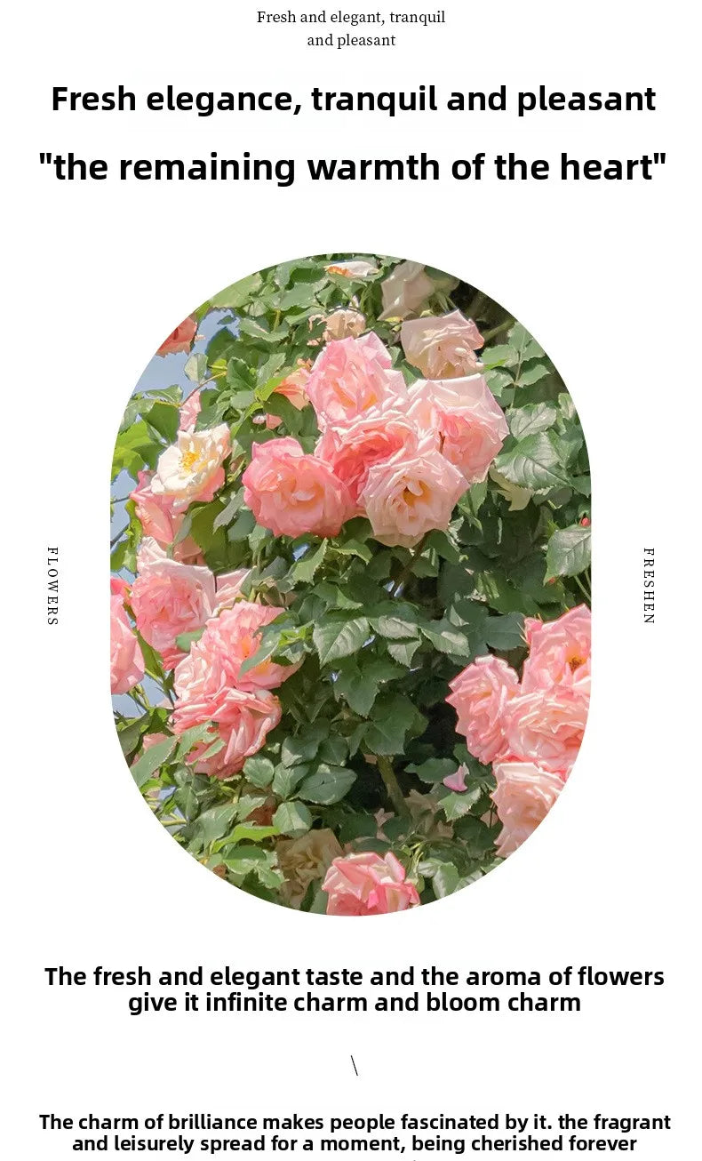 Parfum pour femme Dames Parisiennes Fragrance floral 30 ml