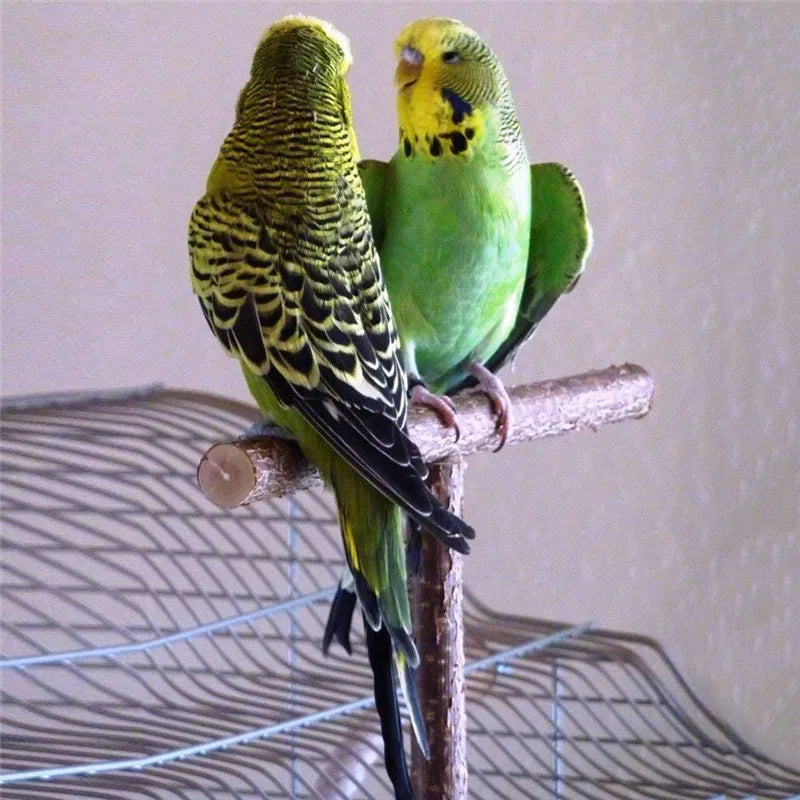 Bird Swing Toy Wooden Parrot Perch Stand Playstand with Chewing Beads Cage Sleep Stand Play Toys for Budgie Birds