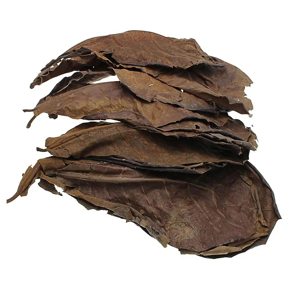 3-30g Natural Terminalia Catappa Foetida Leaf With Bag PH Balance Water Conditioner Fish Tank Filter Aquarium Clean Tool