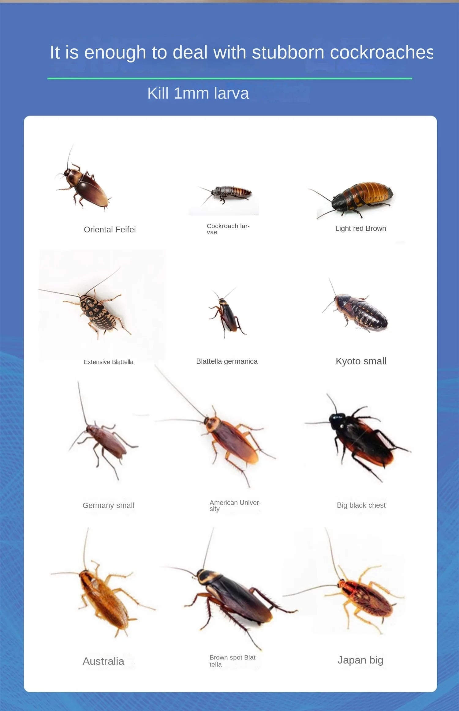 New Non-Toxic Indoor Intelligent Cockroach Killing Tool, Cockroach Medicine Can Be Used Indoors In The Kitchen