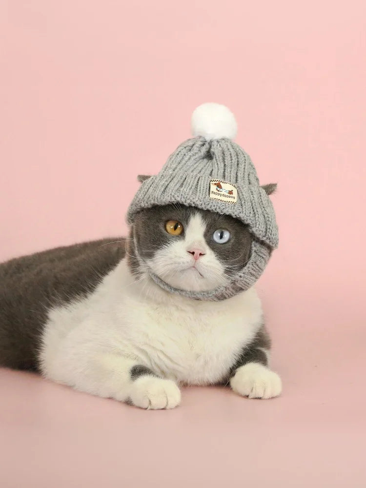 Winter Pet Dog Knitted Hat Ear Exposed Headgear Windproof Fashion Cat Headband Autumn And Winter Fur Ball Pet Dress Up Supplies