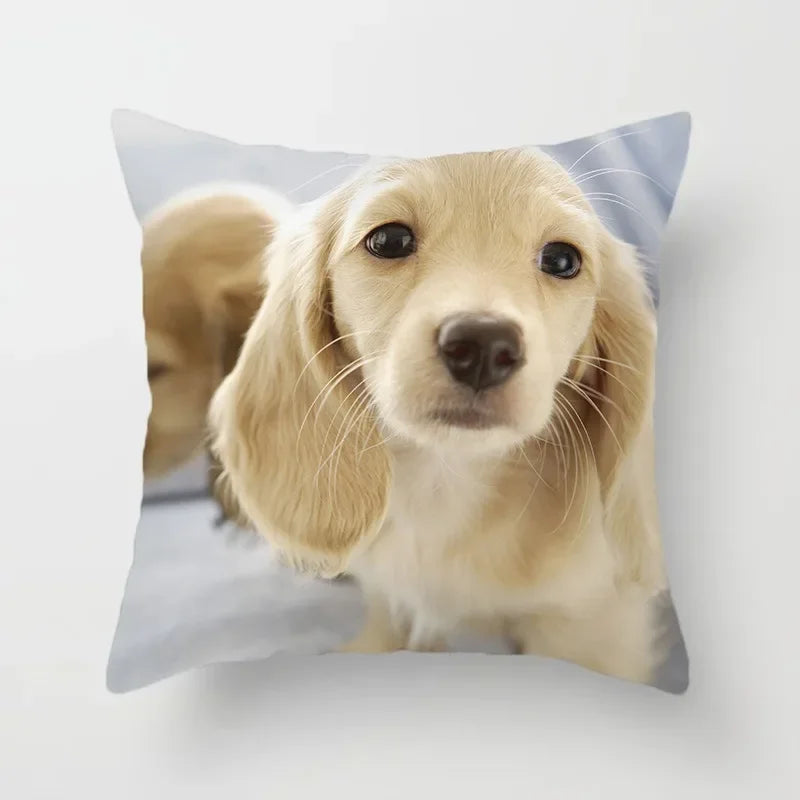 Golden Retriever Pet Dog Pattern Printed Pillow Cover Fashionable Luxury Home Decoration Office Seat Cushion Cover