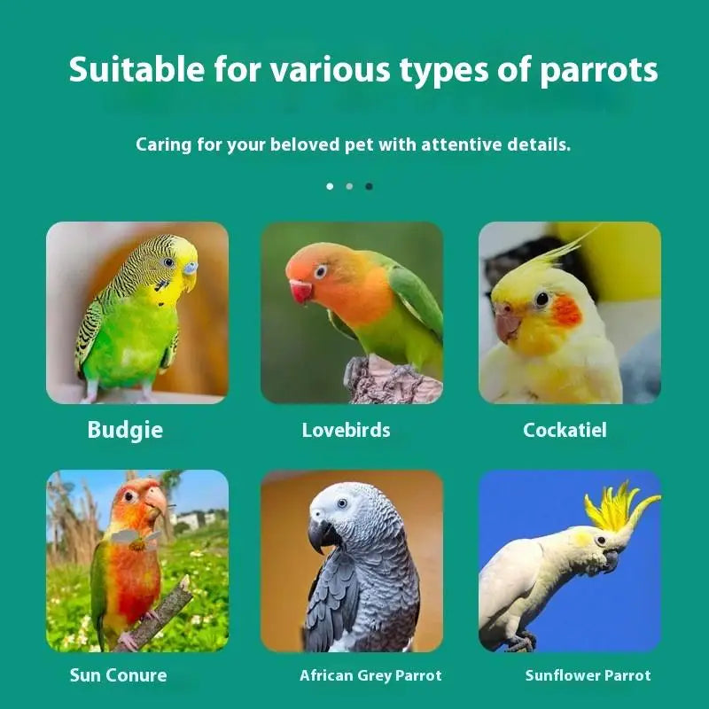 وعاء تغذية الطيور وعاء شفاف قابل للفصل وكوب طعام بلاستيكي للقفص ومغذي بذور معلق مريح للببغاوات