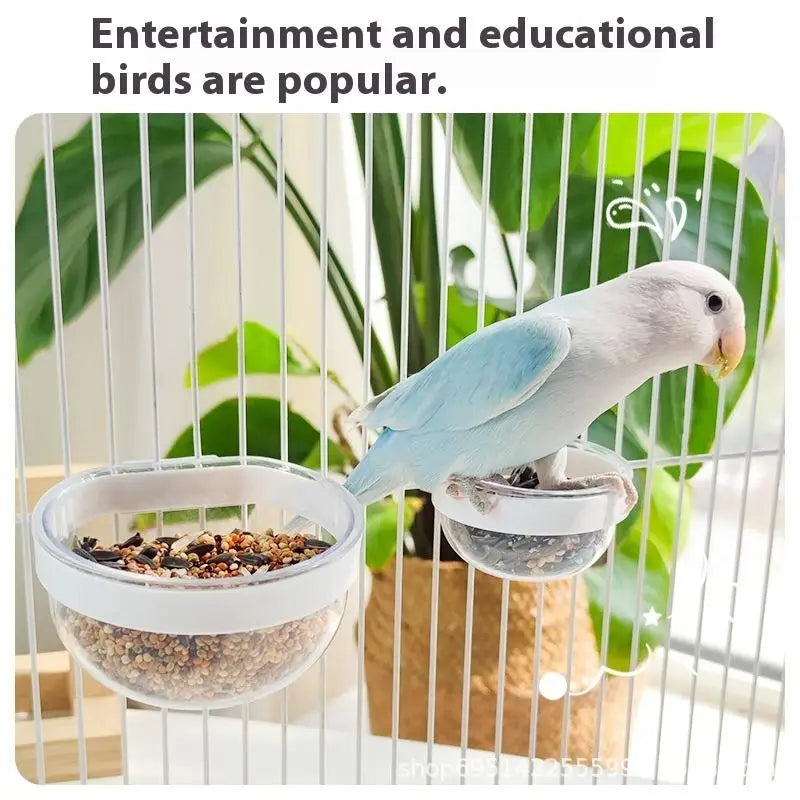 وعاء تغذية الطيور وعاء شفاف قابل للفصل وكوب طعام بلاستيكي للقفص ومغذي بذور معلق مريح للببغاوات