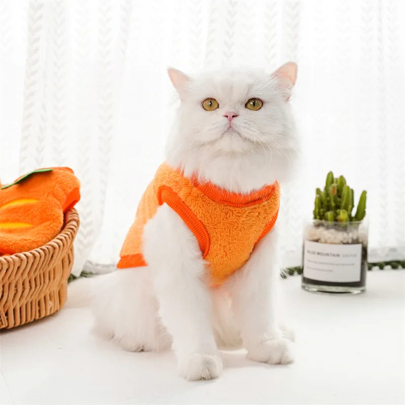 New Pet Dog Winter Warm Carrot Clothes Dog Plus Fleece Sweater Cat Clothing Supplies Designer Dog Clothes Cat Clothes