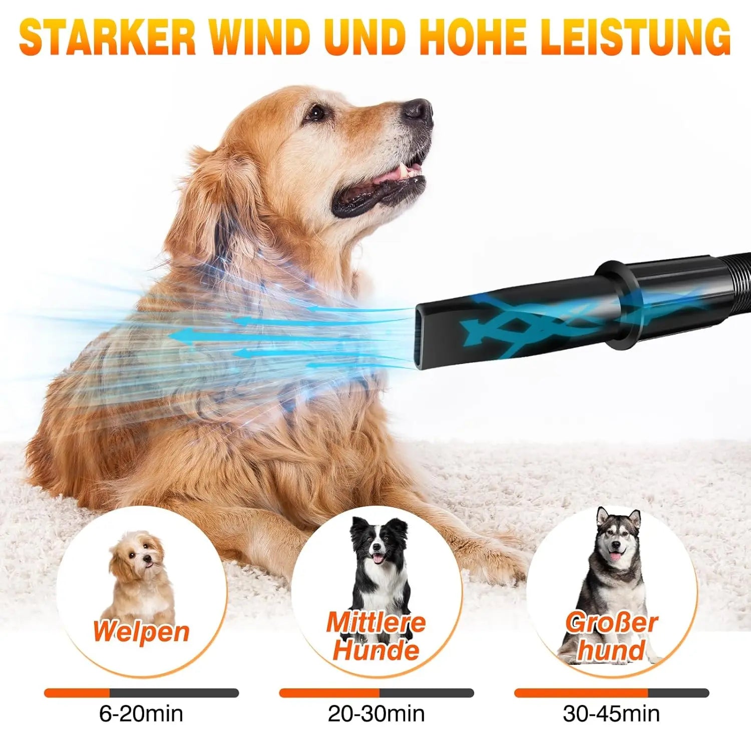 Negative Ion Smart Pet Blower Negative Ion large dog Pet Hair Dog Hair Dryer Blower 3500W with 4 Nozzles Hair Dryer for Pets Pet
