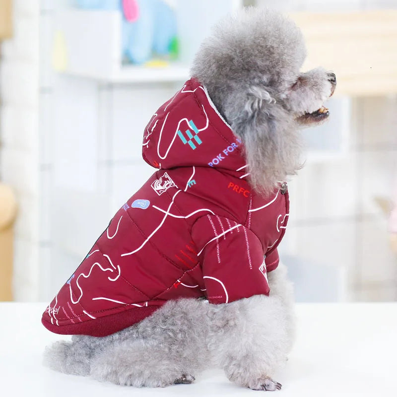 Pet Dog Fashion Winter Coat Small Dog Warm Jacket Stylish Comfortable Insulation Clothing Chihuahua Teddy Poodle Pet Clothing