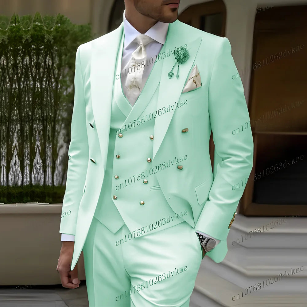 Ensemble de costume 3 pièces smoking