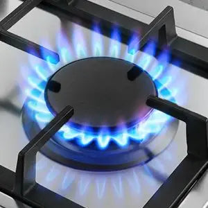 Stainless Steel Gas Hob Automatic Flame Protection 2 Bulbs | Dual Fuel Natural Gas/Propane Built-in/Freestanding 2400W 220-240V