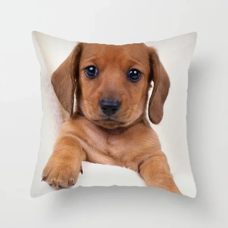 Golden Retriever Pet Dog Pattern Printed Pillow Cover Fashionable Luxury Home Decoration Office Seat Cushion Cover