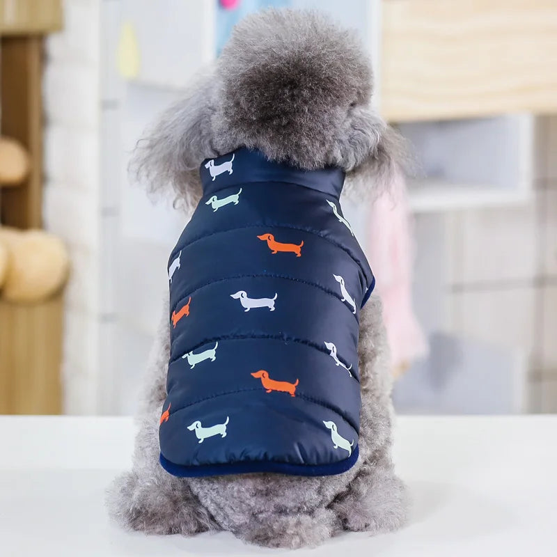 Pet Dog Fashion Winter Coat Small Dog Warm Jacket Stylish Comfortable Insulation Clothing Chihuahua Teddy Poodle Pet Clothing