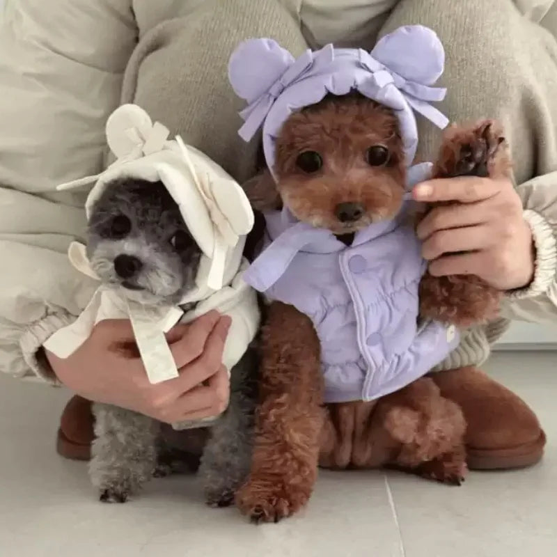 Winter Padded Dog Jacket Coat Warm Soft Dog Clothes Fashion Solid Puppy Down Jacket Cute Bow Cat Vest Coat Chihuahua Pet Costume