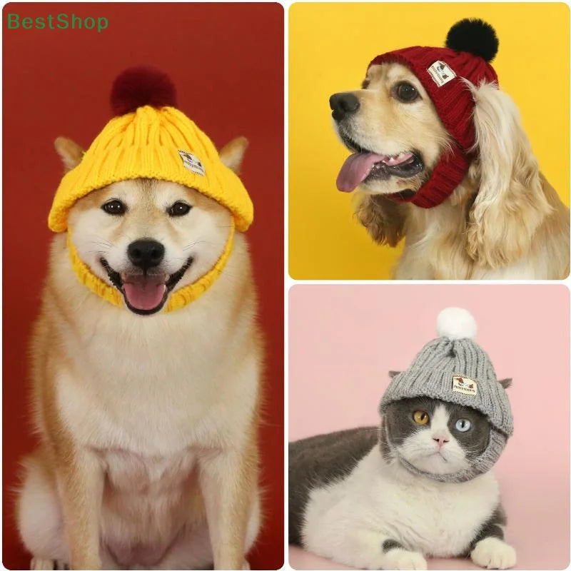 Winter Pet Dog Knitted Hat Ear Exposed Headgear Windproof Fashion Cat Headband Autumn And Winter Fur Ball Pet Dress Up Supplies