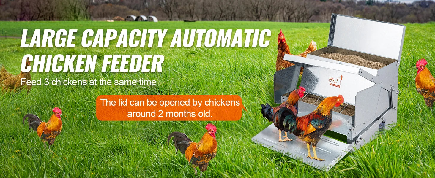 SucceBuy Automatic Chicken Feeder 25 lbs Capacity Feeds 10 Chickens up to 11 Days Galvanized Steel Poultry Feeder
