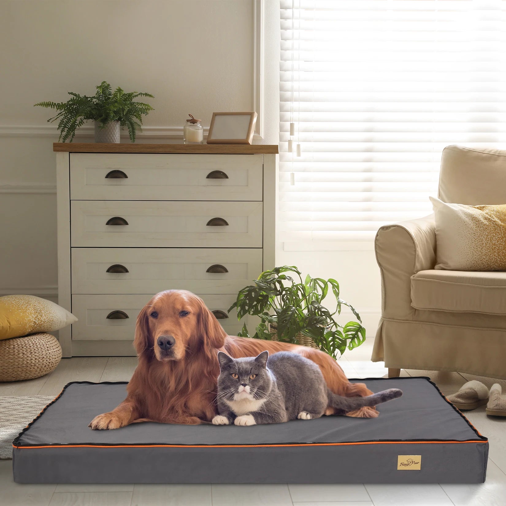 Dog Pet Bed Large Padded Orthopedic Dog Bed Foam Cushion Pets Pillow Bed with Washable Cover