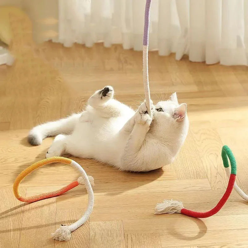 ألعاب القطط، ألعاب تسلية للقطط، أورام القطط الصغيرة، ريش مقاوم للتسنين والمضغ، ترفيه القطط عن نفسها وتخفيف الملل، مستلزمات القطط