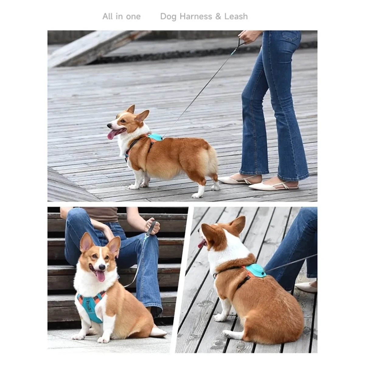 حزام كلب A59T 2 في 1 بدون سحب مع مقود قابل للسحب، ووظيفة تلقائية مضادة للانفجار، وسترة قابلة للتعديل وجيدة التهوية للكلاب، مقاس XS