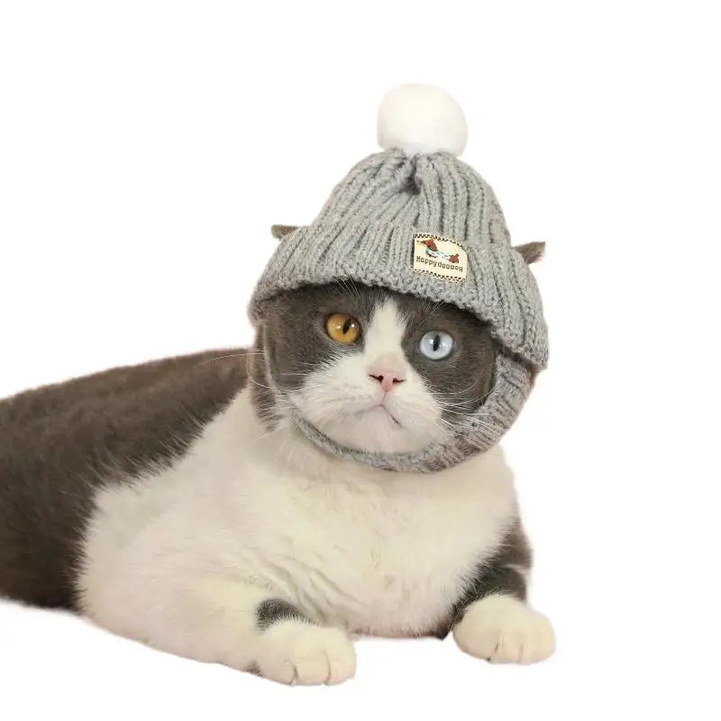 Winter Pet Dog Knitted Hat Ear Exposed Headgear Windproof Fashion Cat Headband Autumn And Winter Fur Ball Pet Dress Up Supplies