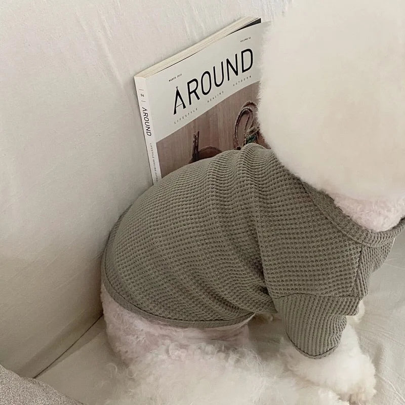 قميص كلاب خريفي وشتوي، ملابس كلاب ناعمة، قميص جرو لطيف سادة، صدرية قطط أنيقة، قمصان داخلية للحيوانات الأليفة، أزياء بيشون فريز